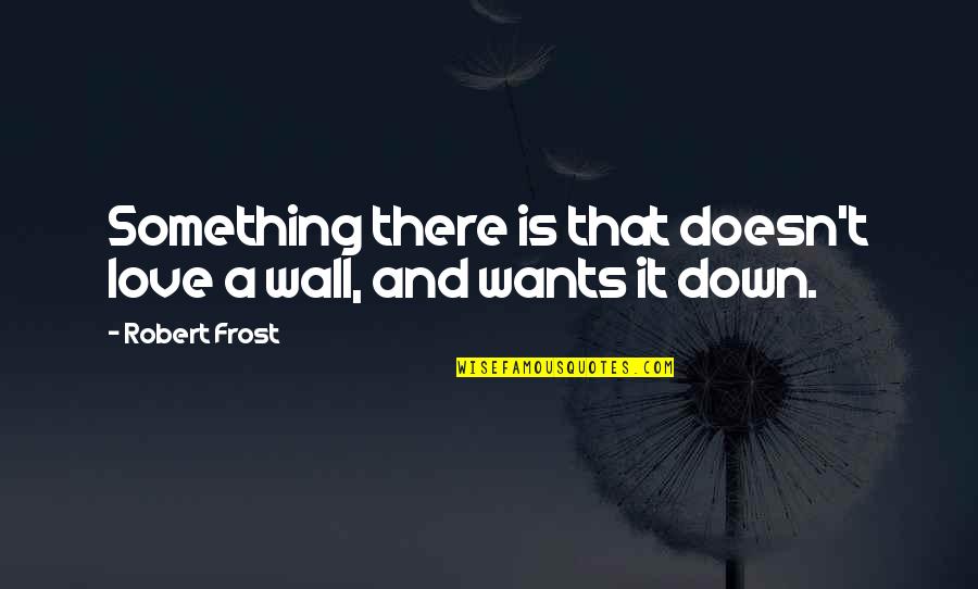 Inspirational Communication Quotes By Robert Frost: Something there is that doesn't love a wall,