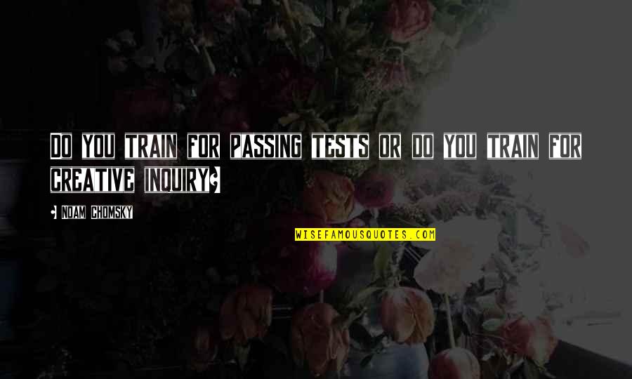 Inspirational Creative Quotes By Noam Chomsky: Do you train for passing tests or do