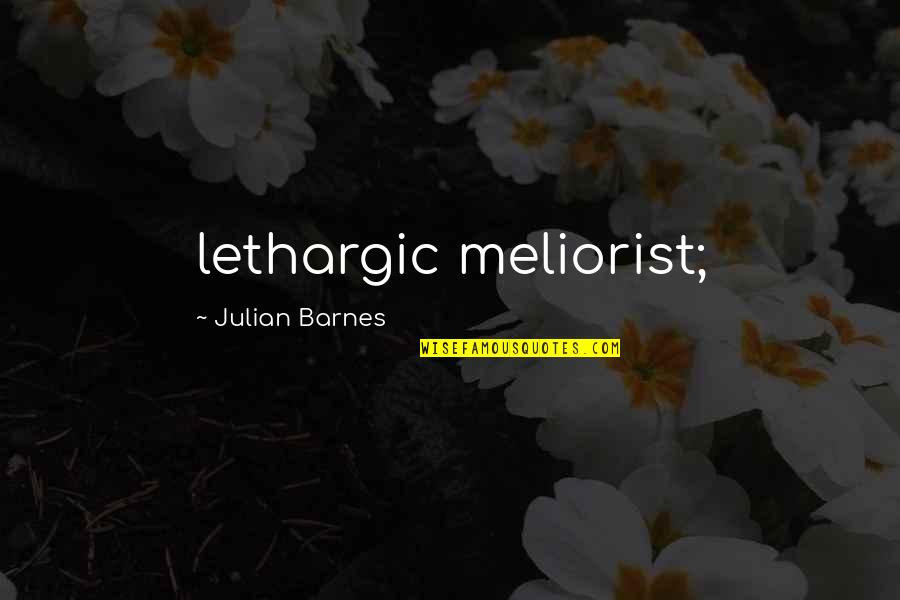 Inspirational Crossroads Quotes By Julian Barnes: lethargic meliorist;