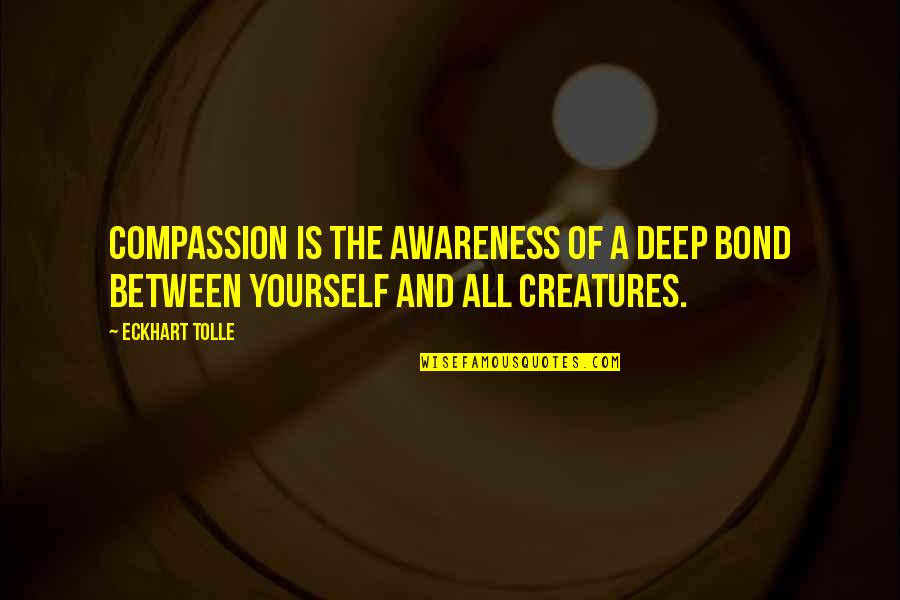 Inspirational Deep Quotes By Eckhart Tolle: Compassion is the awareness of a deep bond
