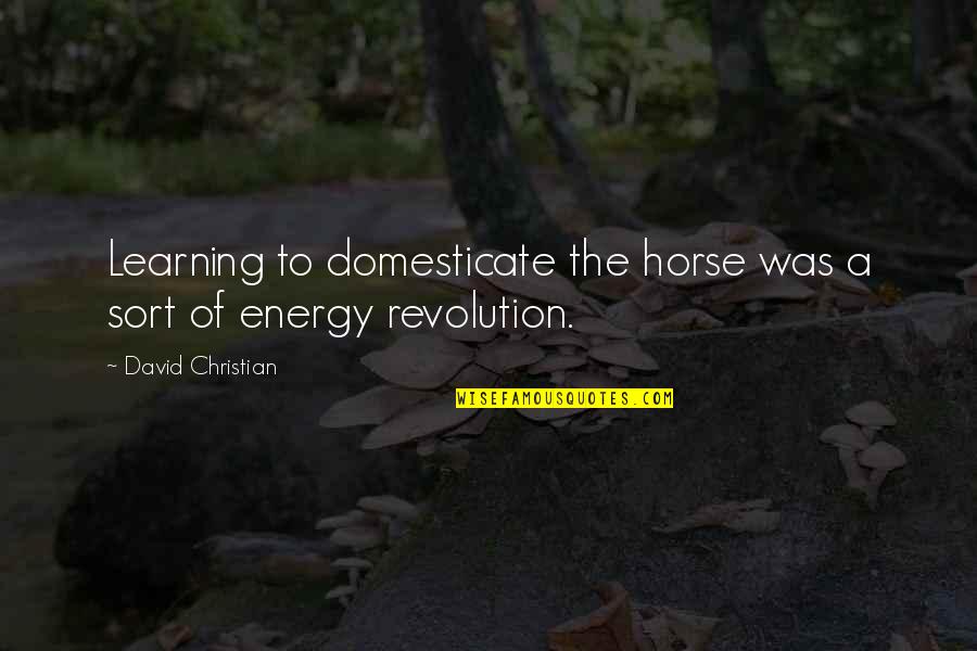 Inspirational Discretion Quotes By David Christian: Learning to domesticate the horse was a sort