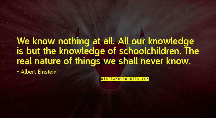 Inspirational Drug Recovery Quotes By Albert Einstein: We know nothing at all. All our knowledge