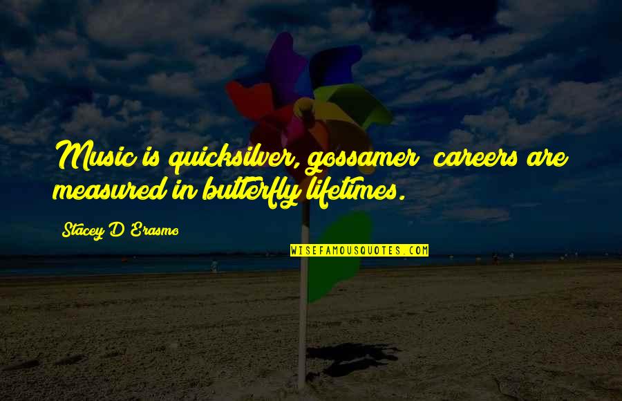 Inspirational Drug Recovery Quotes By Stacey D'Erasmo: Music is quicksilver, gossamer; careers are measured in