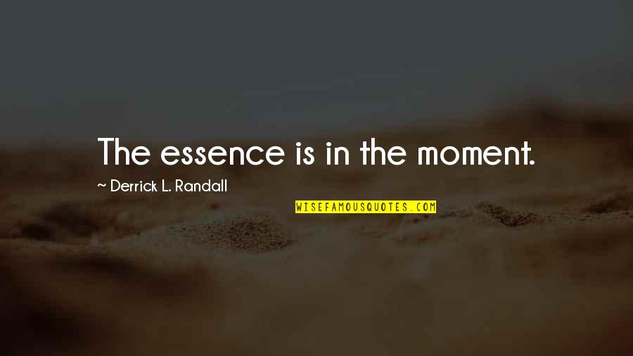 Inspirational Essence Quotes By Derrick L. Randall: The essence is in the moment.
