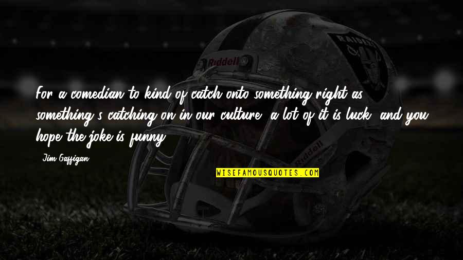 Inspirational Feedback Quotes By Jim Gaffigan: For a comedian to kind of catch onto Inspirational Feedback Quotes By Jim Gaffigan: For a comedian to kind of catch onto