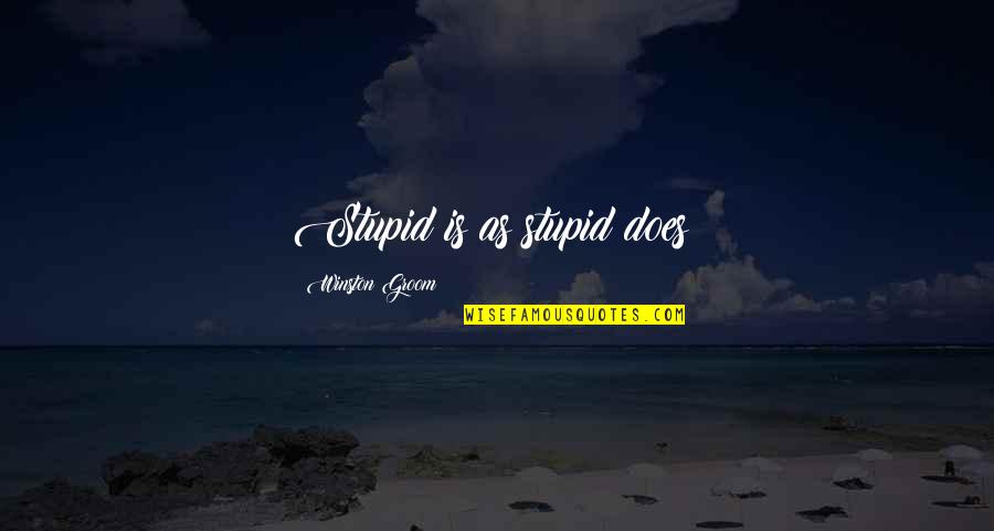 Inspirational Follow Your Dream Quotes By Winston Groom: Stupid is as stupid does~