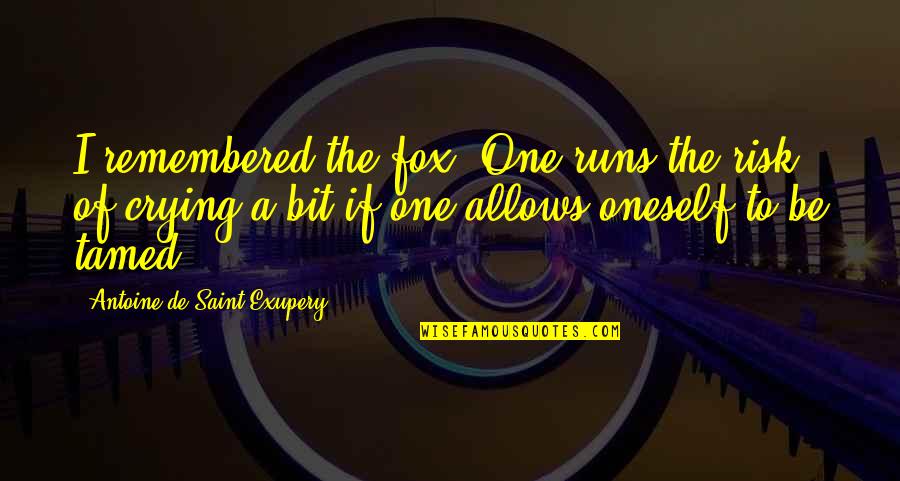 Inspirational Fox Quotes By Antoine De Saint-Exupery: I remembered the fox. One runs the risk Inspirational Fox Quotes By Antoine De Saint-Exupery: I remembered the fox. One runs the risk