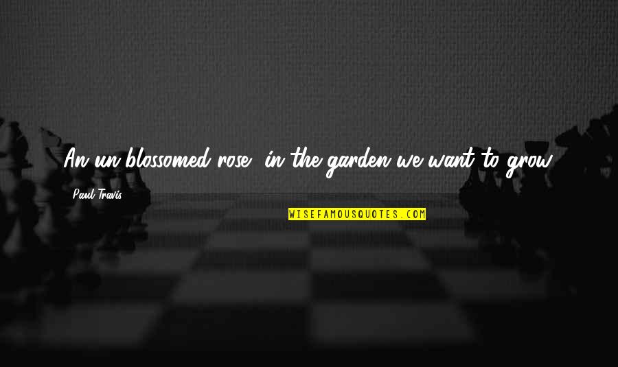 Inspirational Garden Quotes By Paul Travis: An un-blossomed rose, in the garden we want