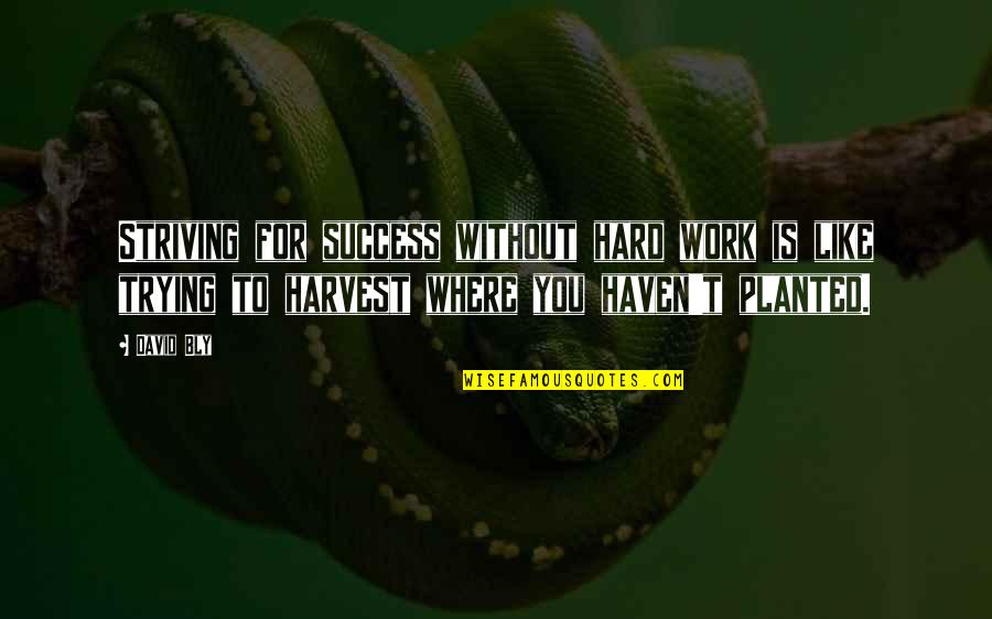 Inspirational Harvest Quotes By David Bly: Striving for success without hard work is like