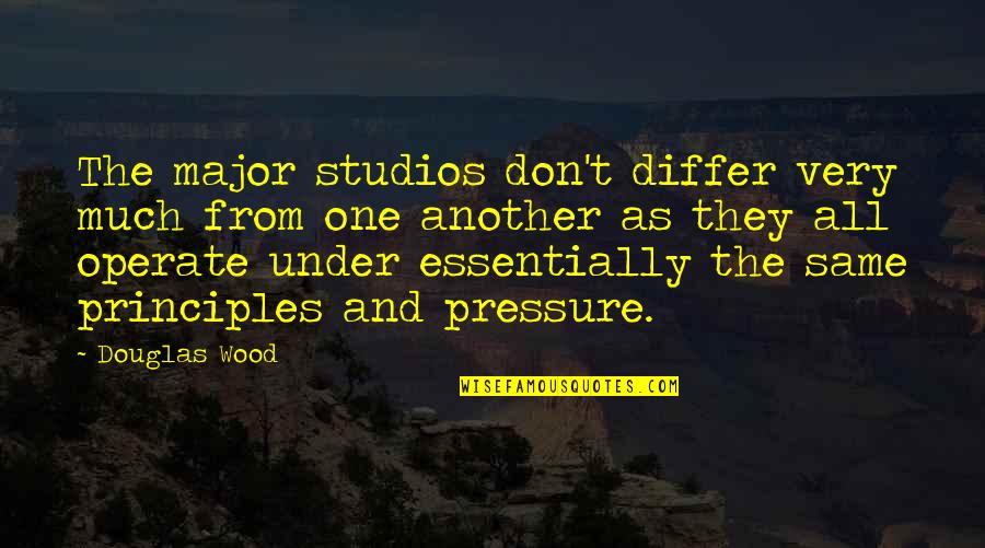 Inspirational Hood Quotes By Douglas Wood: The major studios don't differ very much from