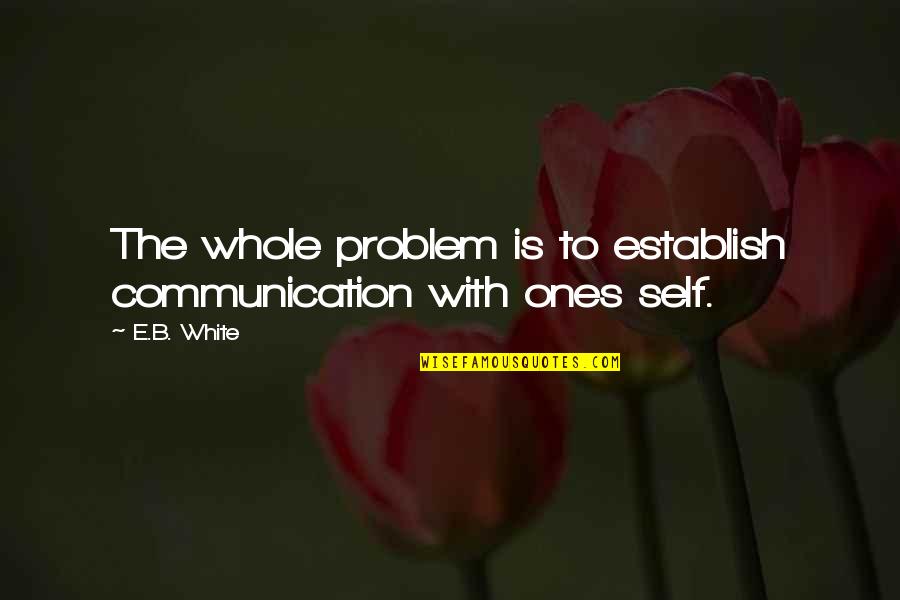 Inspirational Iceberg Quotes By E.B. White: The whole problem is to establish communication with