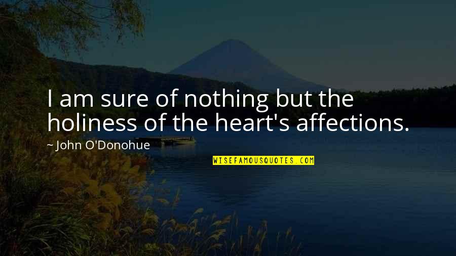 Inspirational Infertility Quotes By John O'Donohue: I am sure of nothing but the holiness