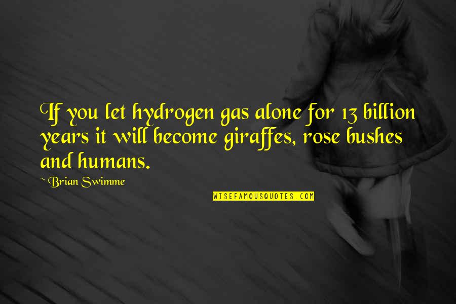 Inspirational Ironman Quotes By Brian Swimme: If you let hydrogen gas alone for 13