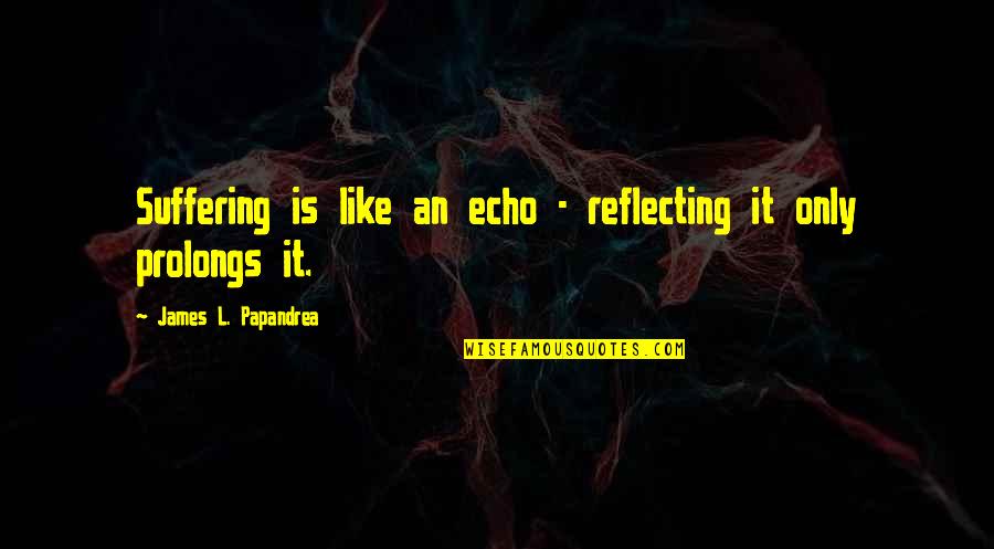 Inspirational It Quotes By James L. Papandrea: Suffering is like an echo - reflecting it