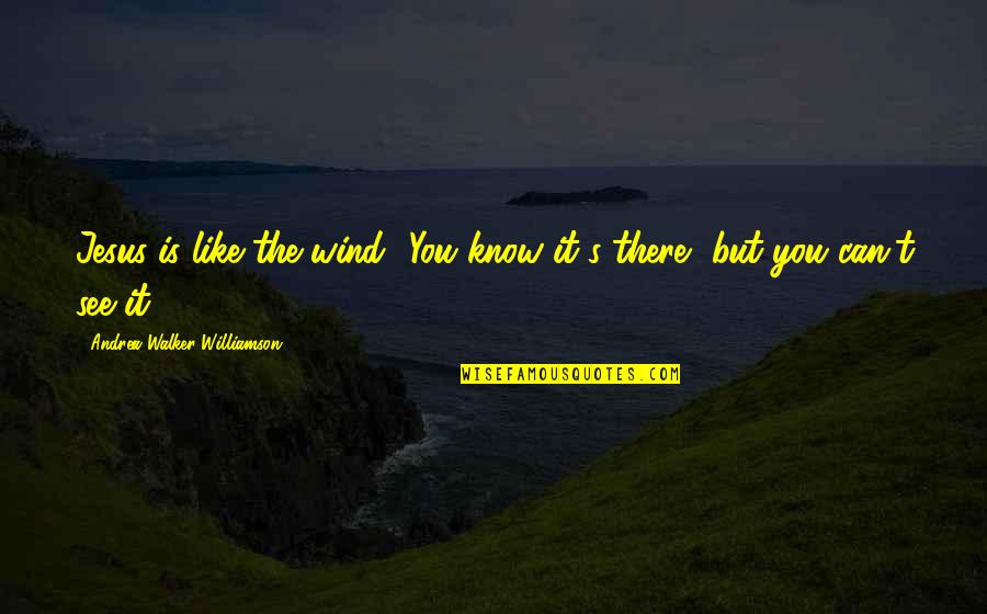 Inspirational Jesus Quotes By Andrea Walker-Williamson: Jesus is like the wind! You know it's