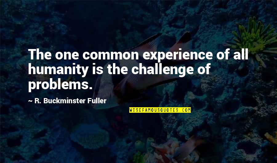 Inspirational Lone Wolf Quotes By R. Buckminster Fuller: The one common experience of all humanity is