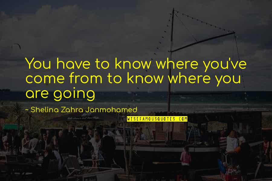Inspirational Mba Quotes By Shelina Zahra Janmohamed: You have to know where you've come from