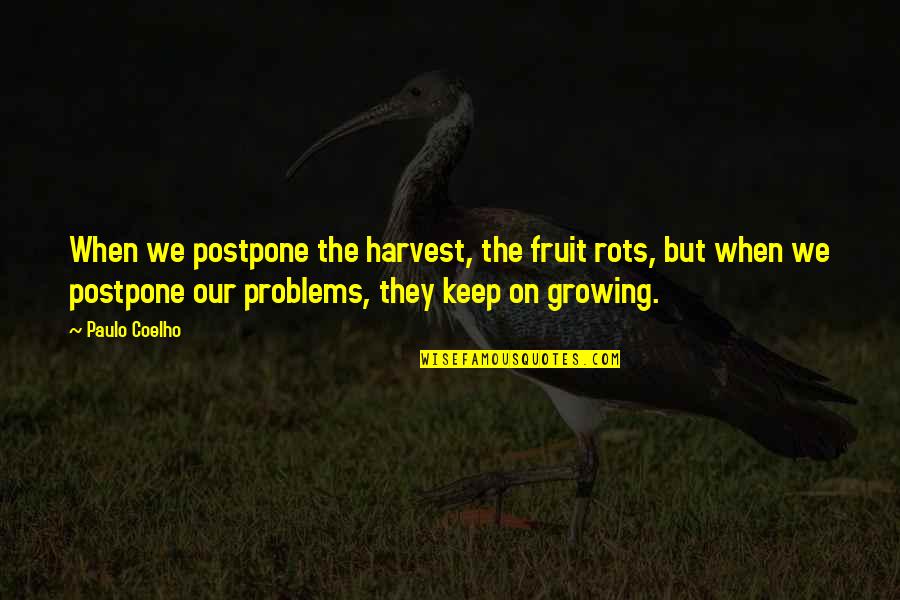 Inspirational Mcu Quotes By Paulo Coelho: When we postpone the harvest, the fruit rots,