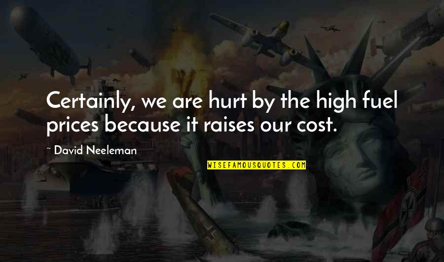 Inspirational Mental Retardation Quotes By David Neeleman: Certainly, we are hurt by the high fuel