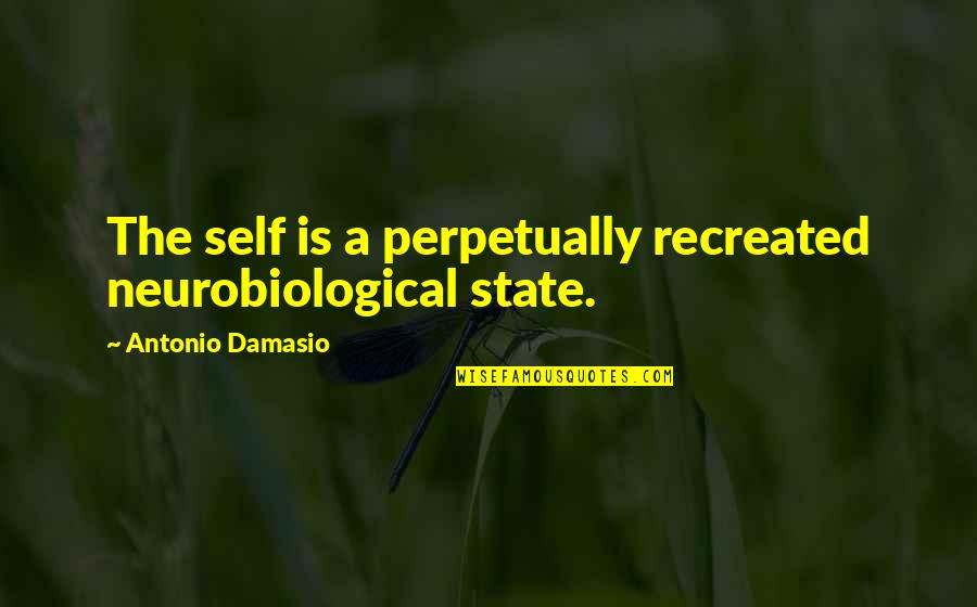 Inspirational Ministry Quotes By Antonio Damasio: The self is a perpetually recreated neurobiological state.