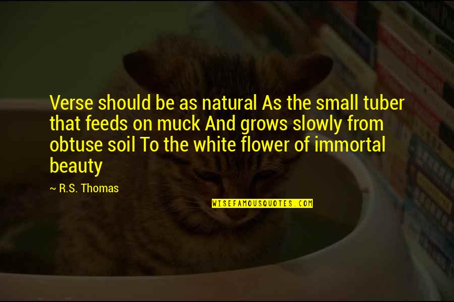 Inspirational Mlk Quotes By R.S. Thomas: Verse should be as natural As the small