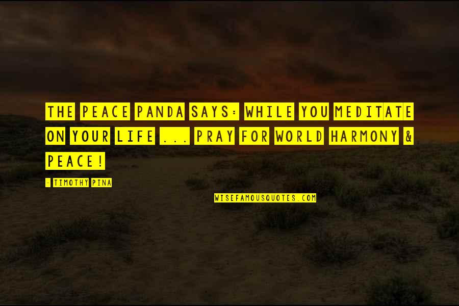 Inspirational Panda Quotes By Timothy Pina: The Peace Panda Says: While you meditate on