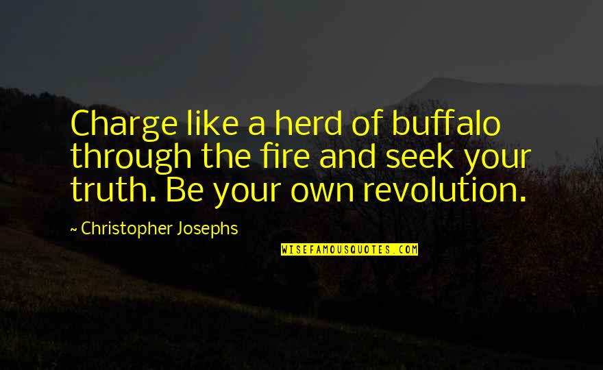 Inspirational Poetry Quotes By Christopher Josephs: Charge like a herd of buffalo through the