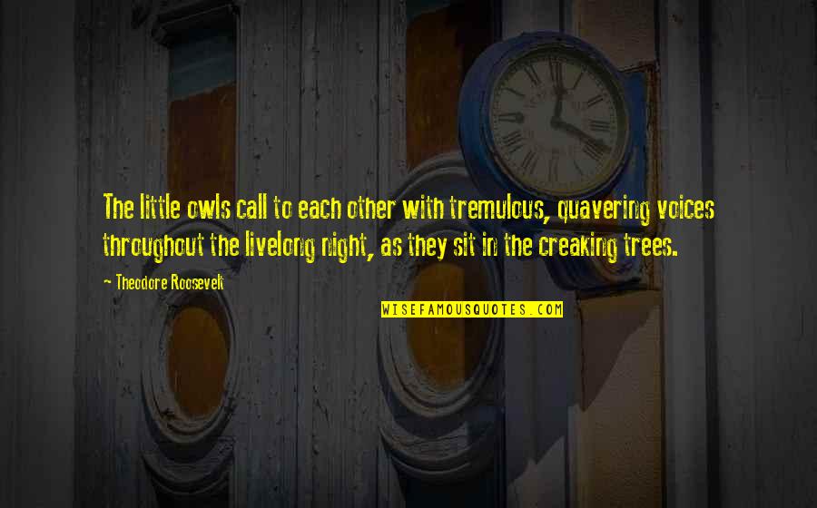 Inspirational Poker Quotes By Theodore Roosevelt: The little owls call to each other with