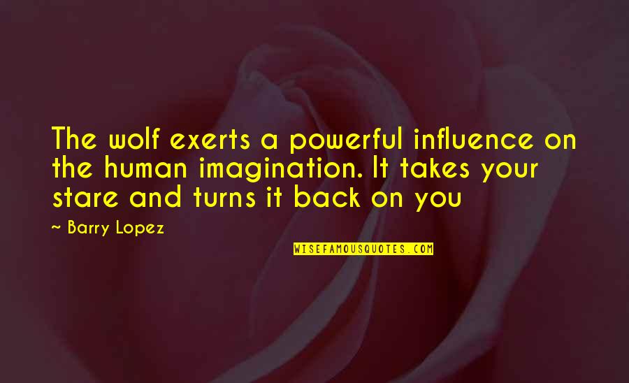 Inspirational Powerful Quotes By Barry Lopez: The wolf exerts a powerful influence on the Inspirational Powerful Quotes By Barry Lopez: The wolf exerts a powerful influence on the