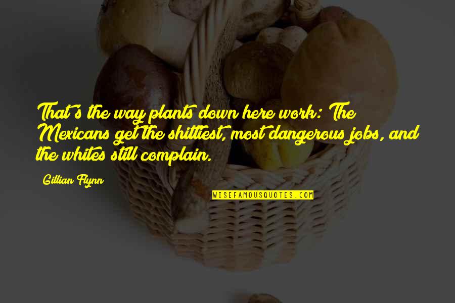 Inspirational Protestant Quotes By Gillian Flynn: That's the way plants down here work: The