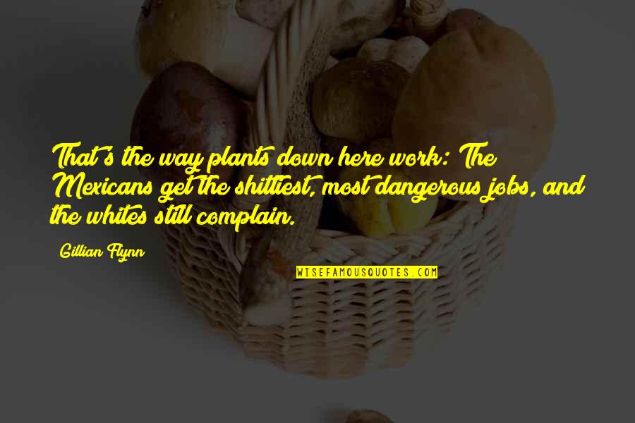 Inspirational Protestant Quotes By Gillian Flynn: That's the way plants down here work: The Inspirational Protestant Quotes By Gillian Flynn: That's the way plants down here work: The