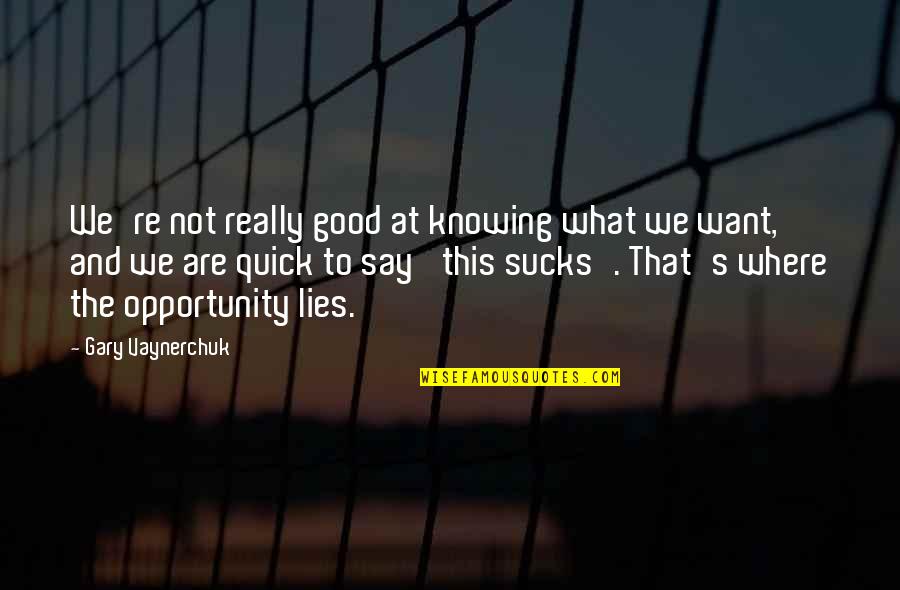 Inspirational Quick Quotes By Gary Vaynerchuk: We're not really good at knowing what we