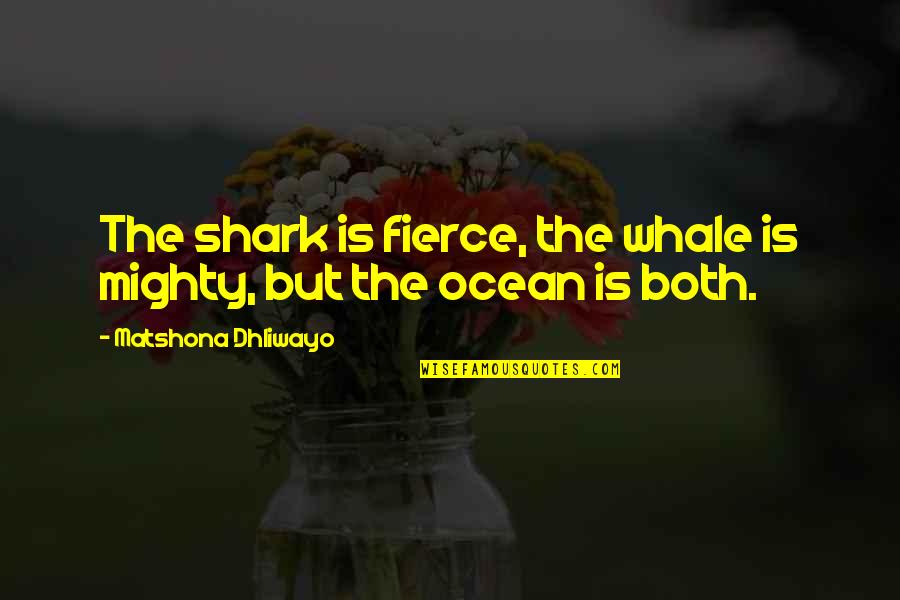 Inspirational Quirky Quotes By Matshona Dhliwayo: The shark is fierce, the whale is mighty,