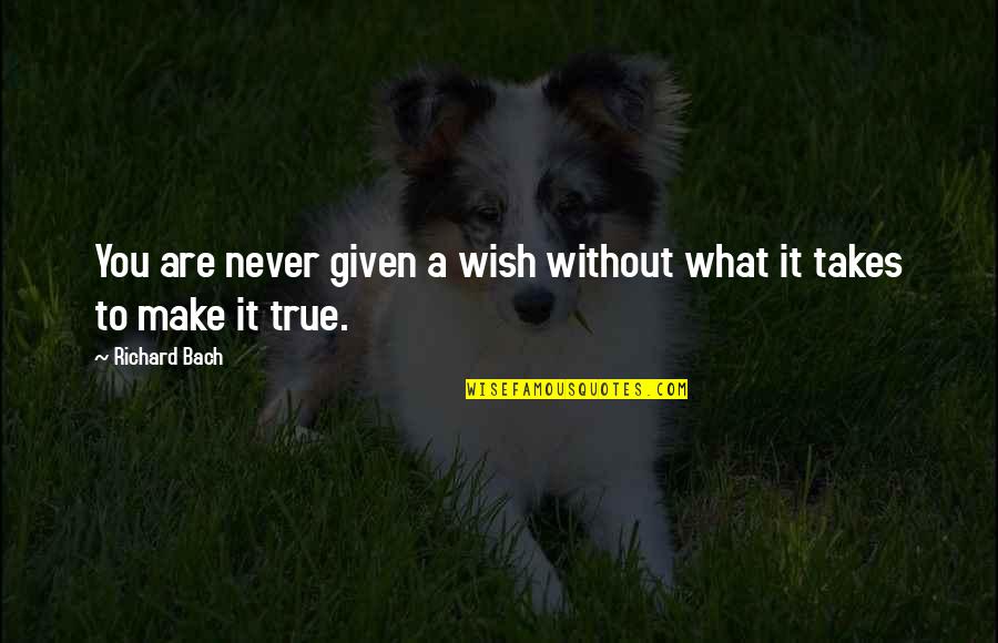 Inspirational Railway Quotes By Richard Bach: You are never given a wish without what