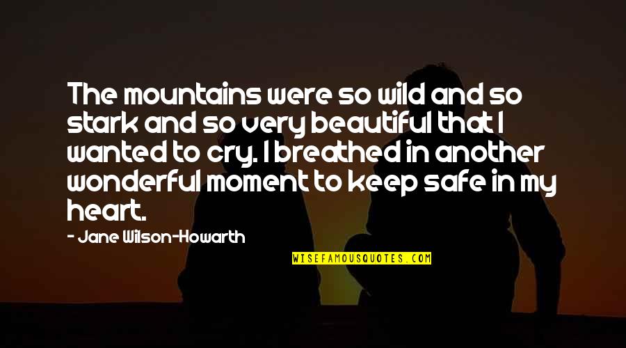 Inspirational Safe Travel Quotes By Jane Wilson-Howarth: The mountains were so wild and so stark