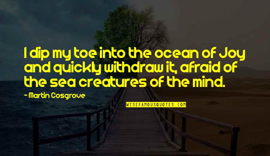 Inspirational Sea Quotes By Martin Cosgrove: I dip my toe into the ocean of