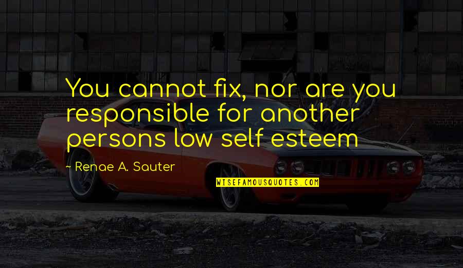 Inspirational Self Worth Quotes By Renae A. Sauter: You cannot fix, nor are you responsible for