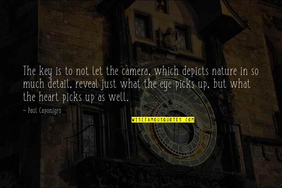Inspirational Shrek Quotes By Paul Caponigro: The key is to not let the camera,