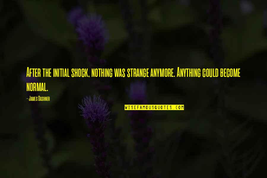 Inspirational Sidewalk Chalk Quotes By James Dashner: After the initial shock, nothing was strange anymore.