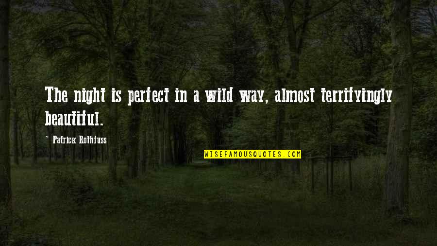 Inspirational Skillet Quotes By Patrick Rothfuss: The night is perfect in a wild way,