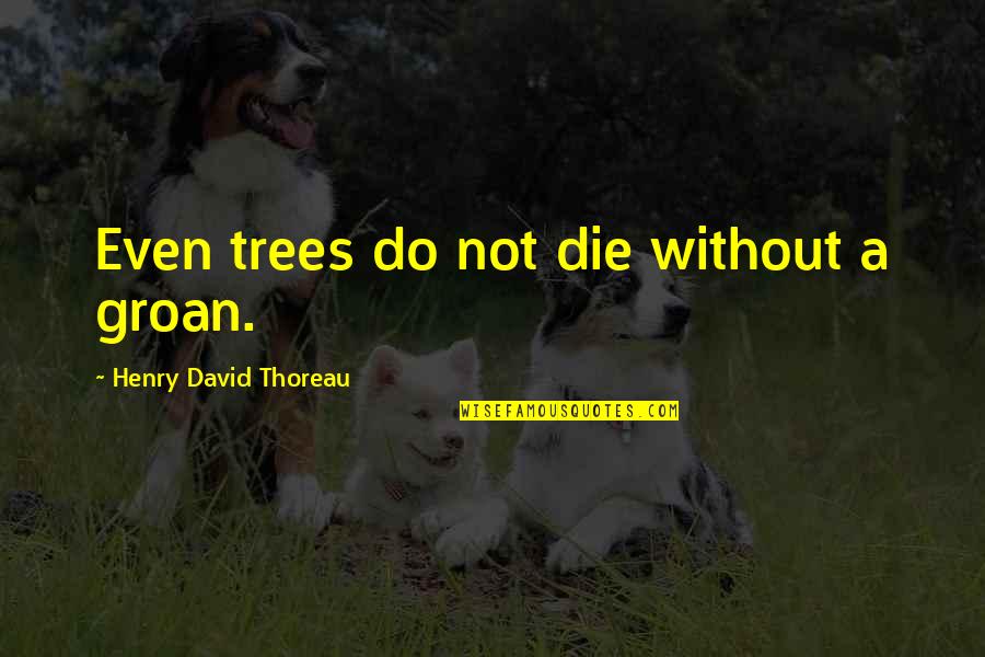 Inspirational Skyscraper Quotes By Henry David Thoreau: Even trees do not die without a groan.