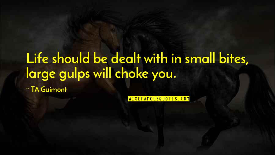 Inspirational Small Quotes By TA Guimont: Life should be dealt with in small bites,