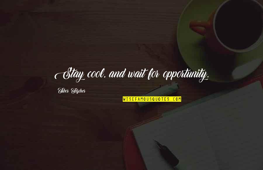Inspirational Spark Quotes By Tibor Fischer: Stay cool, and wait for opportunity.