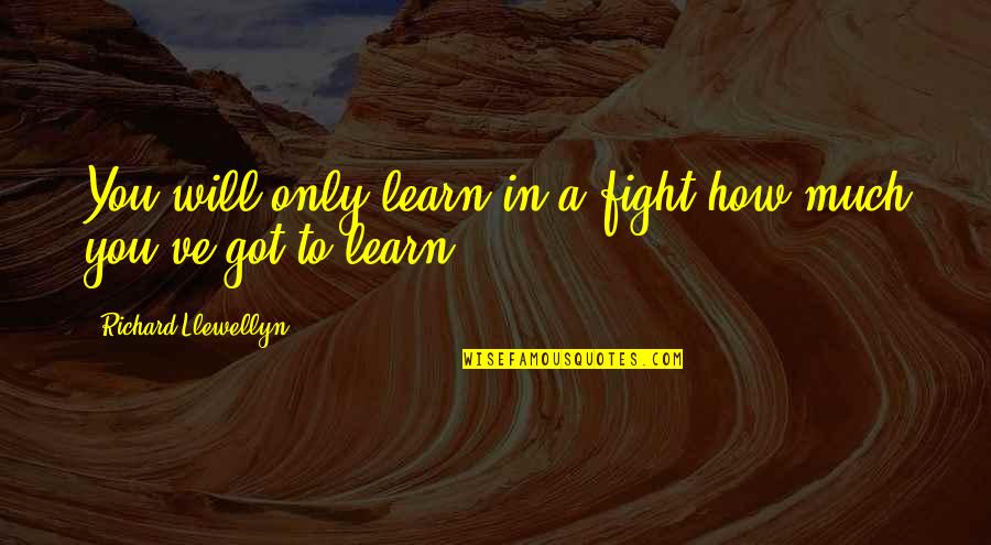 Inspirational Sticky Note Quotes By Richard Llewellyn: You will only learn in a fight how
