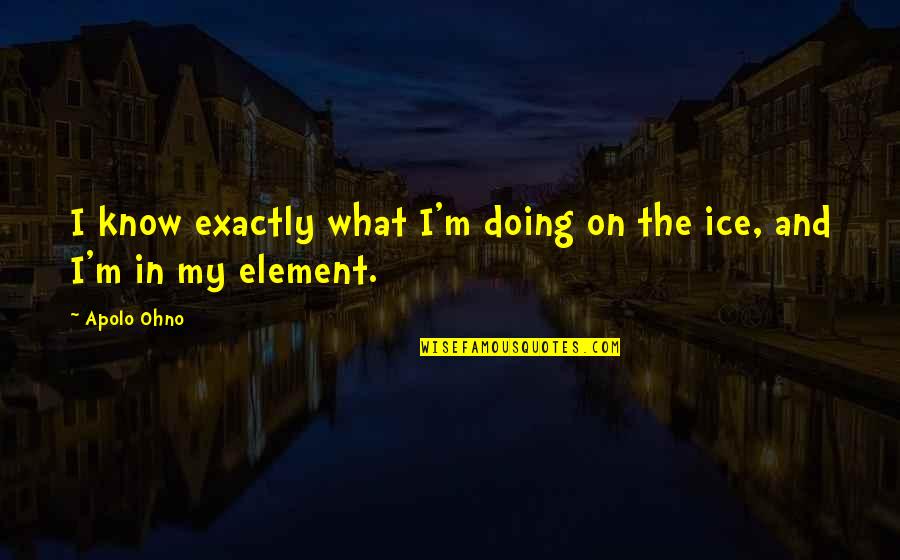 Inspirational Sticky Quotes By Apolo Ohno: I know exactly what I'm doing on the