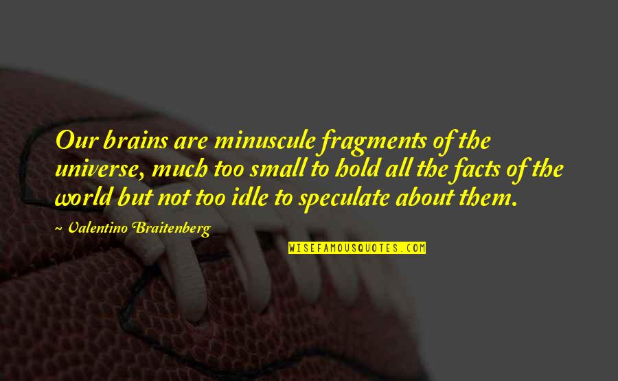 Inspirational Studio Ghibli Quotes By Valentino Braitenberg: Our brains are minuscule fragments of the universe, Inspirational Studio Ghibli Quotes By Valentino Braitenberg: Our brains are minuscule fragments of the universe,
