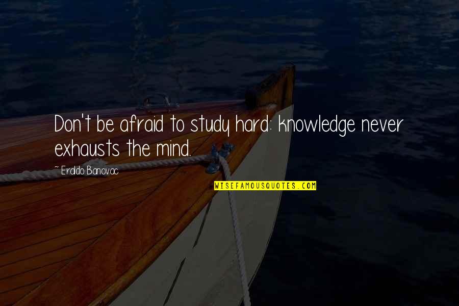 Inspirational Study Quotes By Eraldo Banovac: Don't be afraid to study hard: knowledge never