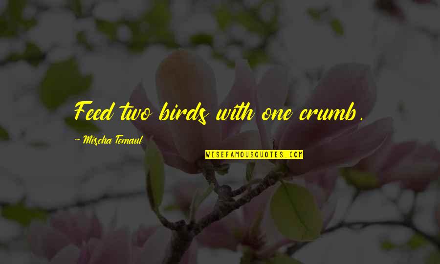 Inspirational Teaching Quotes By Mischa Temaul: Feed two birds with one crumb.