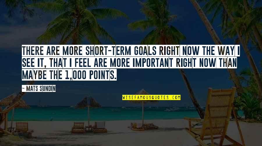 Inspirational Teen Quotes By Mats Sundin: There are more short-term goals right now the