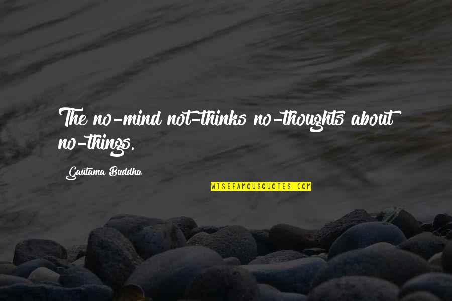 Inspirational Thoughts Quotes By Gautama Buddha: The no-mind not-thinks no-thoughts about no-things.